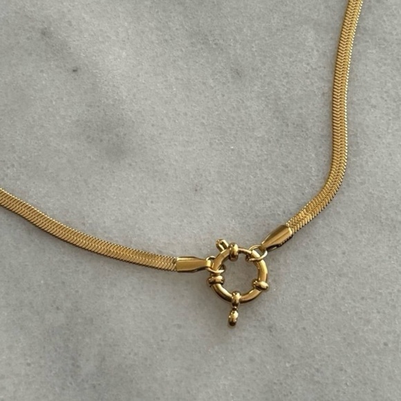 COPY - COPY - Gold Chain Link Snake Round Pendant Clasp Necklace 

Brand New - Picture 3 of 4